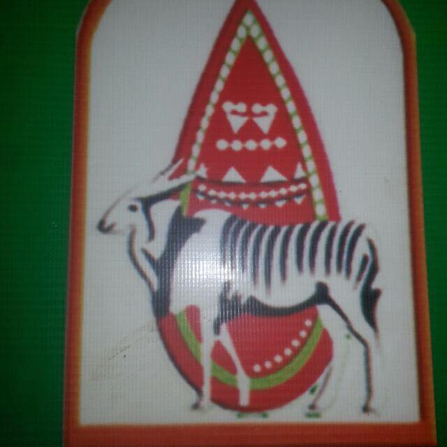 السافنا للتأمين